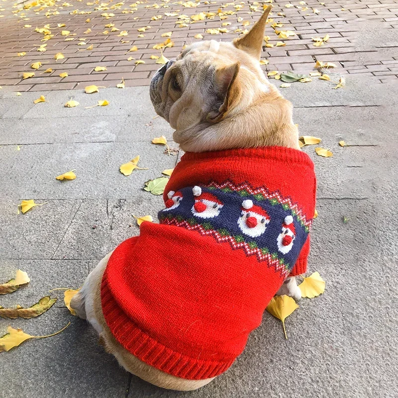 Winter Clothing In French - Рождественский свитер для собак, зимняя одежда