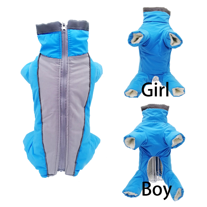 Winter Clothing In French - Зимняя одежда для собак, супер теплая
